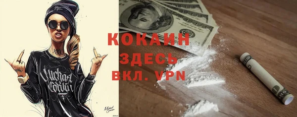 мет Пестово