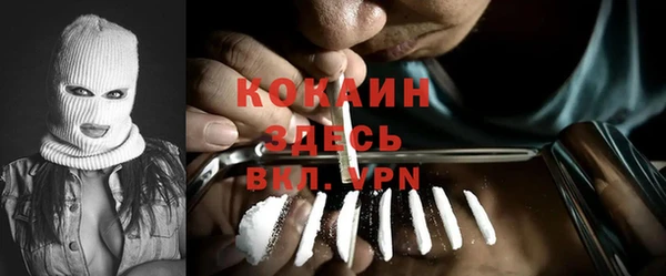 ГАЛЛЮЦИНОГЕННЫЕ ГРИБЫ Алексин