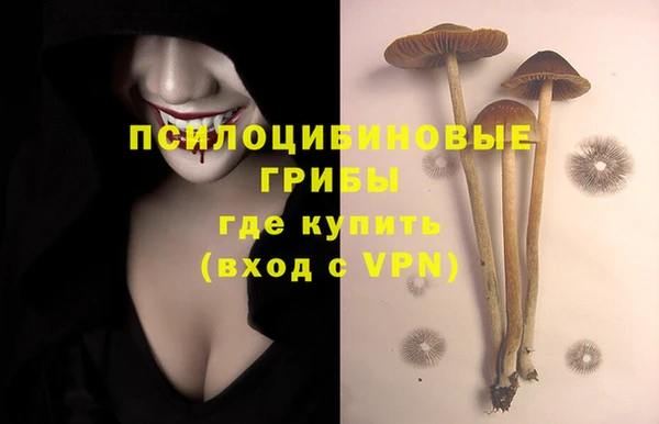 ГАЛЛЮЦИНОГЕННЫЕ ГРИБЫ Алексин