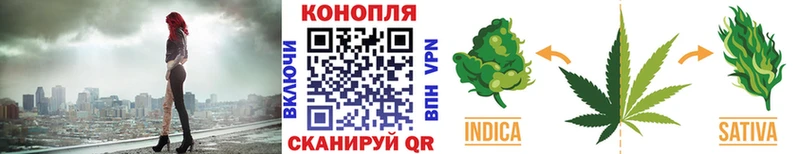 Канабис семена  Бабаево 